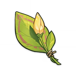 来自何处的待放之花