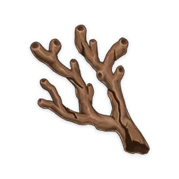 远海夷地的瑚枝